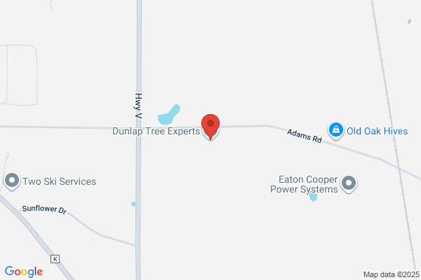 Dunlaps Tree Care