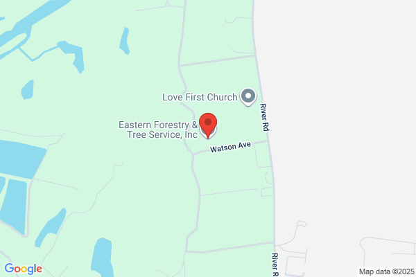 Eastern Forestry & Tree Service