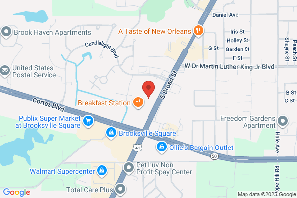 Great Florida Insurance