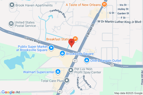AutoZone Auto Parts