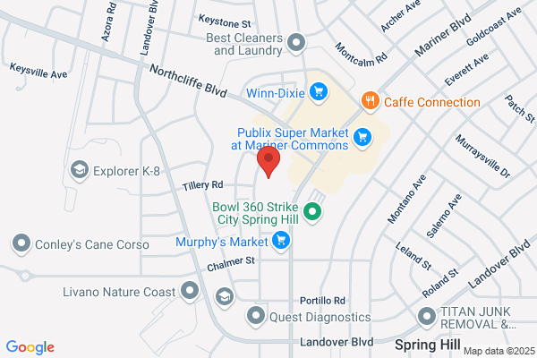 Dorothy Calhoun Real Estate Llc