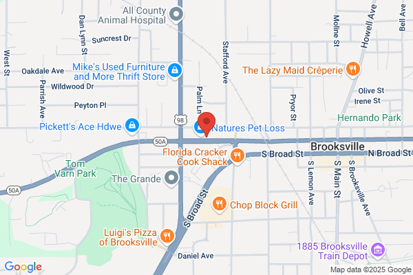 Brooksville Roofing