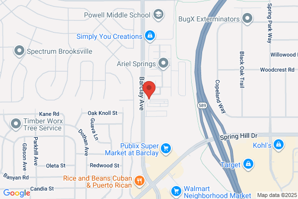 Life Storage - Spring Hill