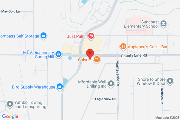 AutoZone Auto Parts