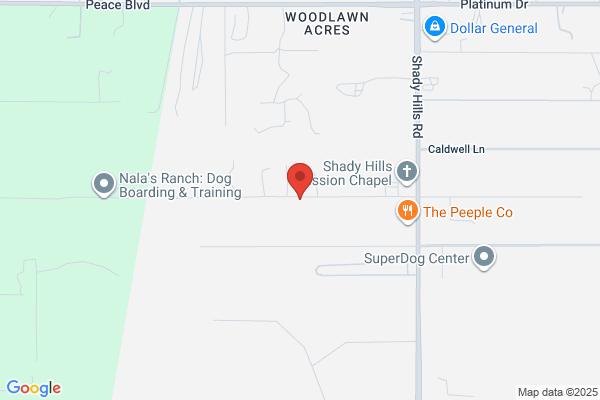 Shady Hills Community Center