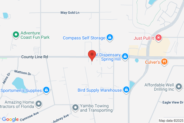 Shady Hills Pet Shop