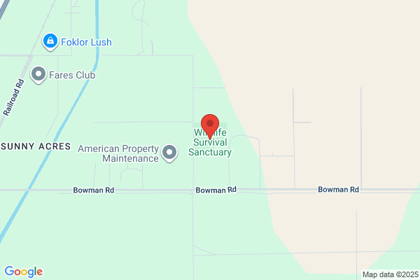 Wildlife Survival Sanctuary