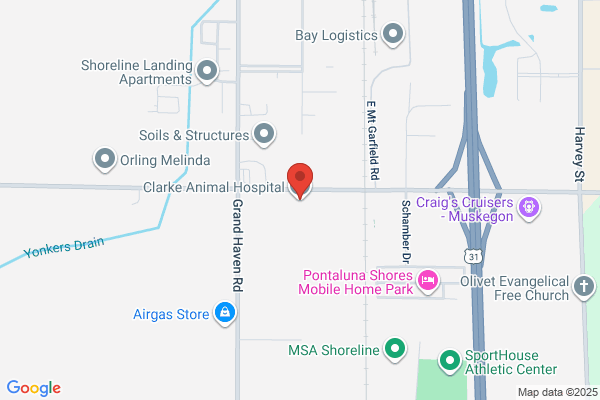 Clarke Animal Hospital
