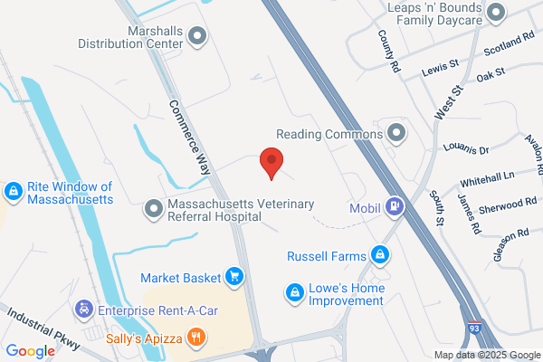 Metro Business Systems Inc