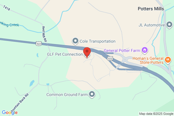 Glf Pet Connection