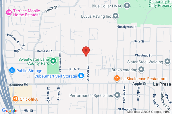 Action Fire Systems Co Inc