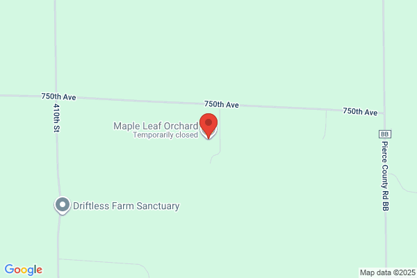 Maple Leaf Orchard