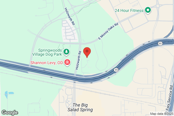 Texas ENT Specialists - Springwoods