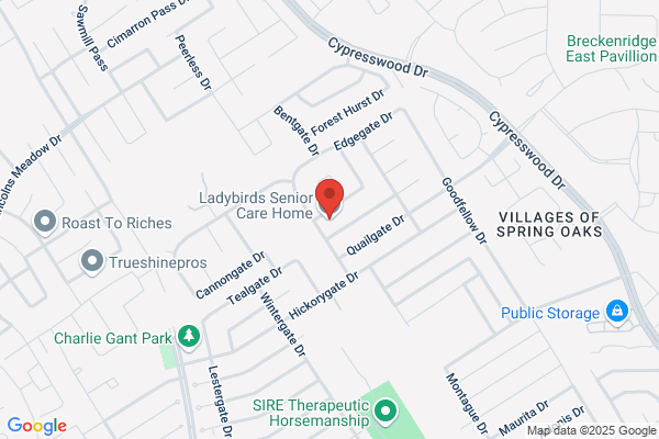 Ladybirds Senior Care Home
