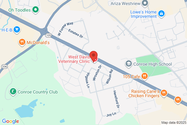 Design Originals of Texas