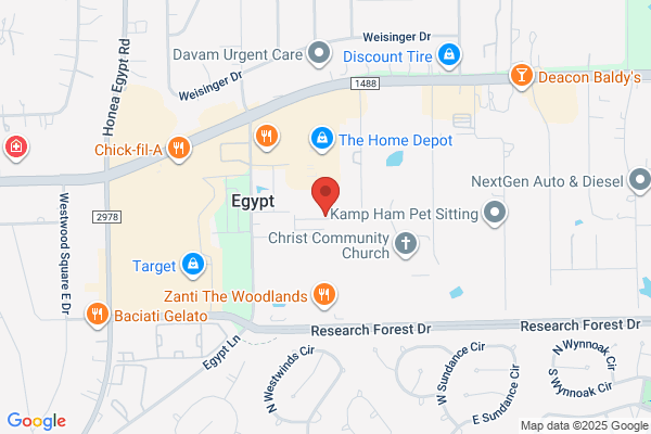 Carpet Cleaning The Woodlands TX