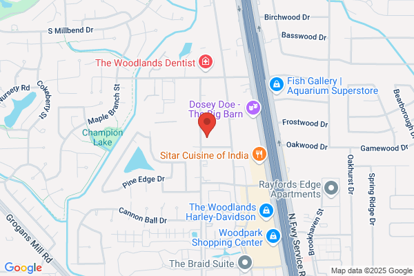 Paws In the Woodlands