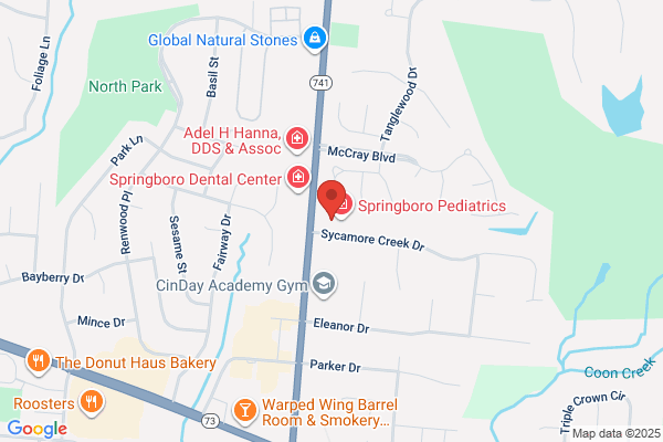 Springboro Dental Group