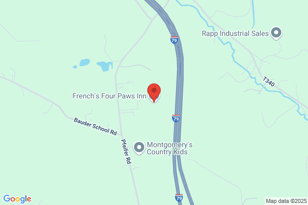 Four Paws Boarding Kennel