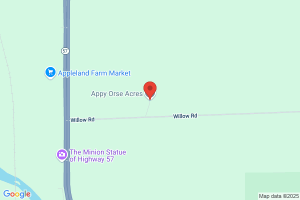 Appa-Lolly Ranch & Riding Stables