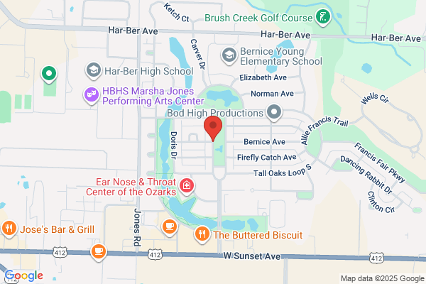 Berner Carpet Cleaning
