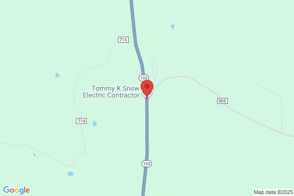 Snow Electric