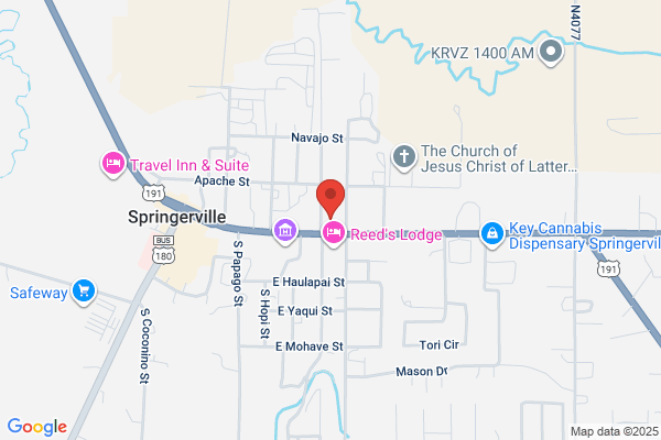 LifeSafer Ignition Interlock