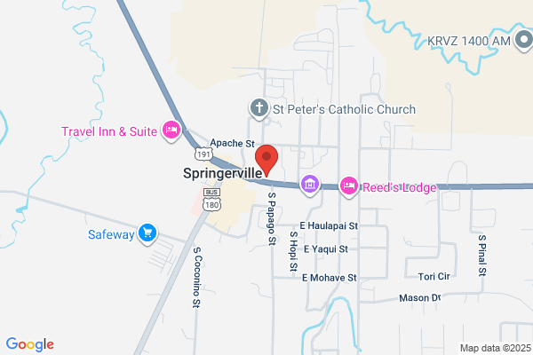 Carquest Auto Parts - CARQUEST of Springerville