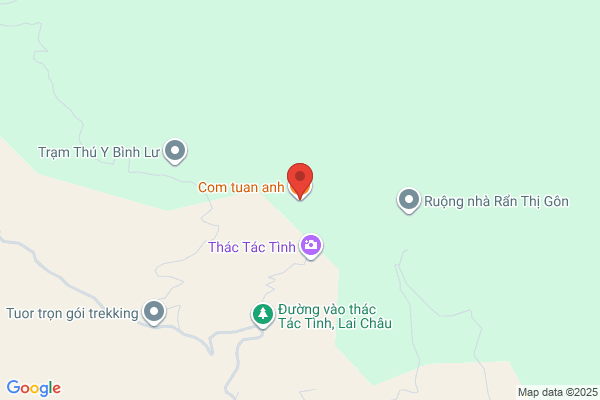 Tam T. Mai, MD, FACS