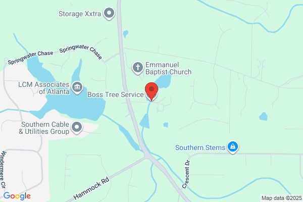 Boss Tree Service Springfield IL