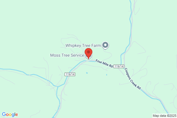 Moss Tree Service