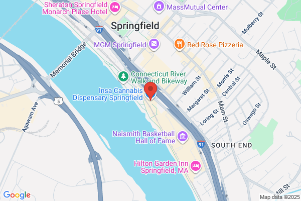 Insa Springfield