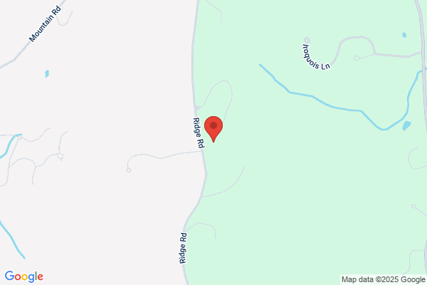 Camerlin Electric Inc