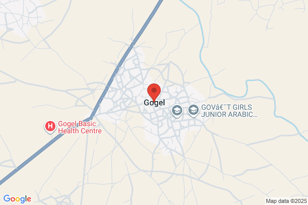 Gogel & Gogel
