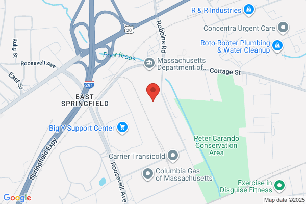 Springfield Professional Services