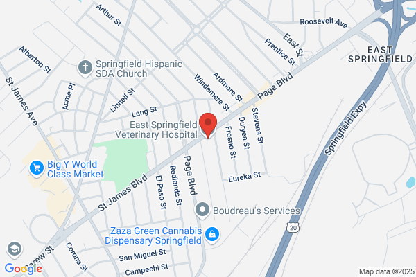East Springfield Veterinary Hospital