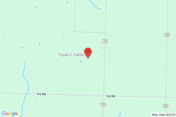 C & C Cattle Co