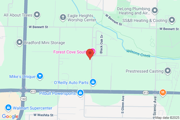 Manheim Springfield