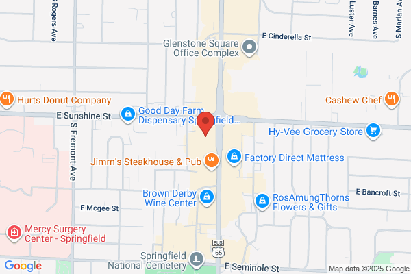 Springfield Travel Service