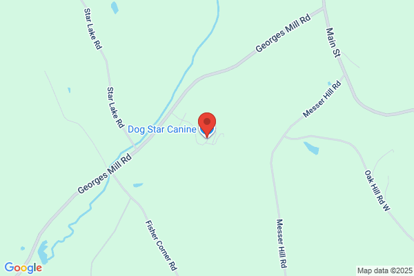 Dog Star Canine