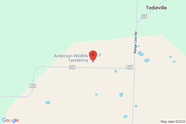 Anderson Taxidermy