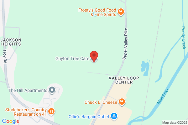 Guyton Tree Care and Stump Removal