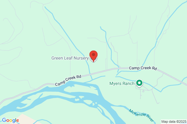 Green Leaf Nursery Inc