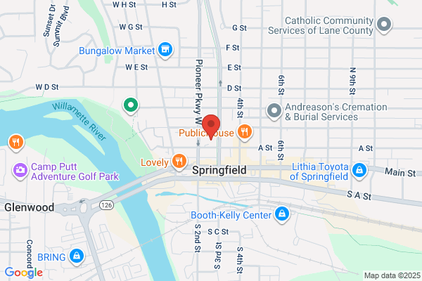 Springfield DSL