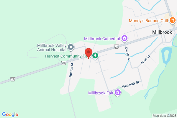 Millbrook Medical Center