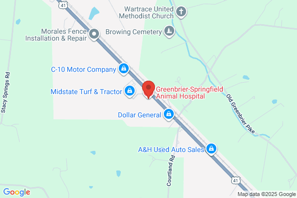 Deidrienne Fredin - Greenbrier-Springfield Animal Hospital