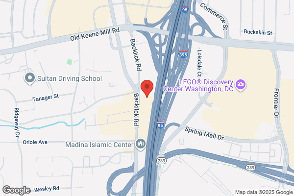 Bush Veterinary Neurology Service (BVNS) - Springfield