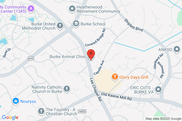 Burke Animal Clinic