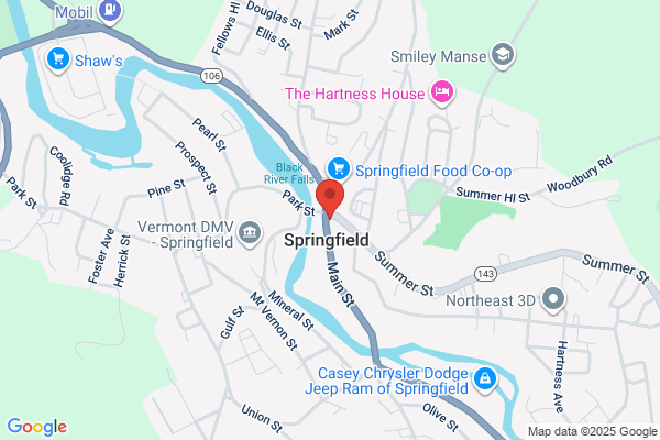 Springfield Village Pizza