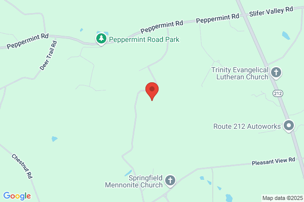 Springfield Township of Bucks County, Enforcement Code